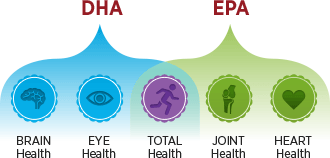 DHA EPA Brain Eye Joint Heart Health Total Health