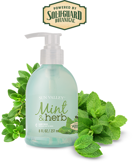 hand wash mint herb hand wash mint herb